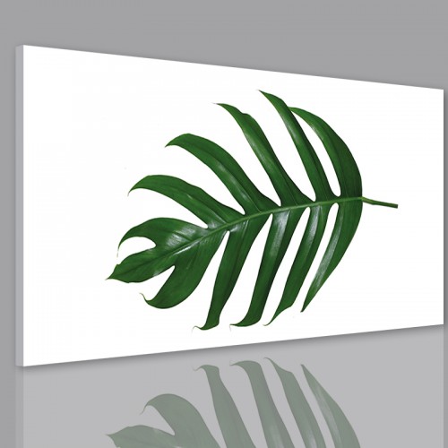 Obraz na ścianę do sypialni salonu monstera 41213 - zdjęcie 2