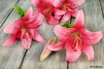 Beautiful lily on wooden background Naklejkomania - zdjecie 1 - miniatura