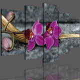 Obrazy 5 częściowe-  Kwiaty, orchidea 12335 Naklejkomania - zdjecie 3 - miniatura