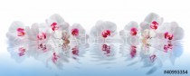 Orchideen im Wasser Naklejkomania - zdjecie 1 - miniatura