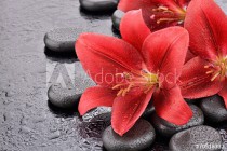 Czerwone lilie na kamieniach bazaltowych Naklejkomania - zdjecie 1 - miniatura
