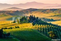 Fototapeta Toskania we Włoszech - zielono żółty pejzaż 81132 Naklejkomania - zdjecie 2 - miniatura