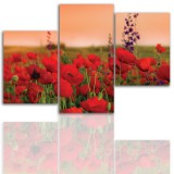 Wyprzedaż Obraz 3 częściowy -  maki, łąka, pejzaż 12009 - 120x180 Naklejkomania - zdjecie 1 - miniatura