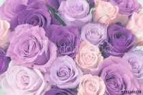 Bouquet of roses Naklejkomania - zdjecie 1 - miniatura