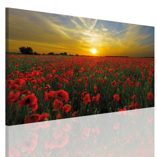 Obraz na ramie płótno canvas- obraz kwiaty łąka, zachód słońca 15060 Naklejkomania - zdjecie 1