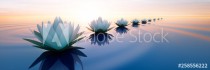 Lotusblüten im Sonnenuntergang Naklejkomania - zdjecie 1 - miniatura