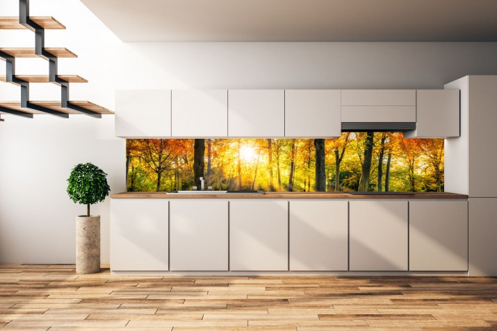 Panel szklany do kuchni  14384 las - zdjęcie 1