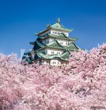 Nagoya Schloss in Japan Naklejkomania - zdjecie 1 - miniatura