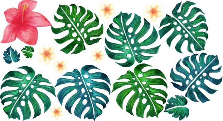 Naklejka na ścianę kwiaty liście monstera 9870 - zdjęcie 2