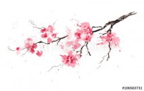 Sakura branch. Original watercolor painting. Naklejkomania - zdjecie 1 - miniatura