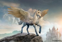 Pegasus scene 3D illustration Naklejkomania - zdjecie 1 - miniatura