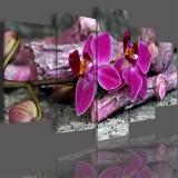 Obrazy 5 częściowe- kwiat orchidea storczyk 506 Naklejkomania - zdjecie 2 - miniatura