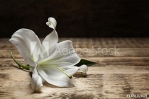 Beautiful white lily on wooden table Naklejkomania - zdjecie 1 - miniatura