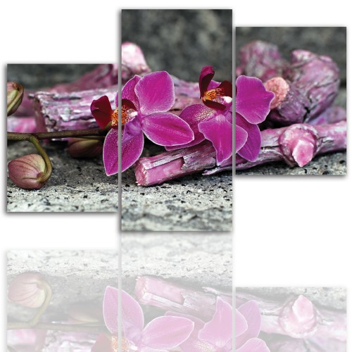 Tryptyk do salonu - Kwiaty, storczyk, orchidea 12013 Naklejkomania - zdjecie 1