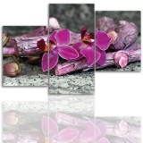 Tryptyk do salonu - Kwiaty, storczyk, orchidea 12013 Naklejkomania - zdjecie 1 - miniatura