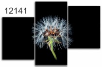 Tryptyk do salonu - Kwiaty, dmuchawce 12141 Naklejkomania - zdjecie 1 - miniatura