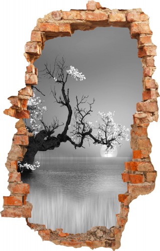 Naklejka na ścianę , dziura 3D samotne drzewo 3659 - zdjęcie 2