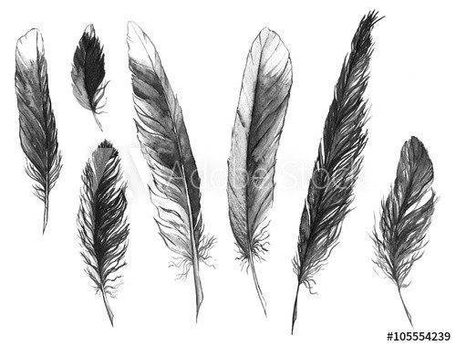 Watercolor black and white monochrome feather set isolated - zdjęcie 1