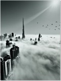 Plakat miasto w chmurach, ptaki 61096 Naklejkomania - zdjecie 2 - miniatura