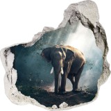 Naklejka na ścianę, dziura 3D słoń las zmrok 3563 Naklejkomania - zdjecie 2 - miniatura