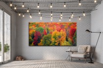 Obraz na ścianę do sypialni salonu jesień w lesie  41316 Naklejkomania - zdjecie 2 - miniatura