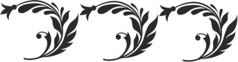 Bordery na ścianę, motyw 5092 - zdjęcie 2