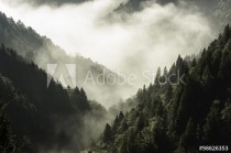 High mountain in mist and cloud Naklejkomania - zdjecie 1 - miniatura