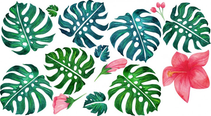 Naklejka na ścianę kwiaty liście monstera 9868 - zdjęcie 2