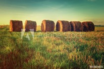 Haystacks on the field. Straw bales drying on a green grass in summer season. Naklejkomania - zdjecie 1 - miniatura
