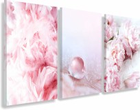 Obrazy na ścianę sypialni, salonu pastele, delikatne pióra, róż, piwonie, rosa 20279 Naklejkomania - zdjecie 1 - miniatura