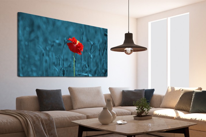 Obraz na ramie płótno canvas- obraz kwiaty łąka mak 15061 - zdjęcie 2