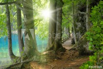 Sonnenschein im Wald neben klarem See Naklejkomania - zdjecie 1 - miniatura