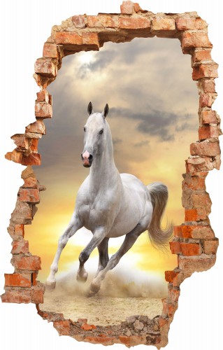 Naklejka ścienna , dziura 3D koń 3649 - zdjęcie 2