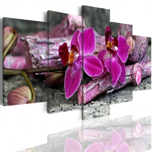Obrazy 5 częściowe- kwiat orchidea storczyk 506 Naklejkomania - zdjecie 1