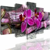 Obrazy 5 częściowe- kwiat orchidea storczyk 506 Naklejkomania - zdjecie 1 - miniatura