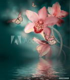 Orchids with a butterfly on the coloured background Naklejkomania - zdjecie 1 - miniatura