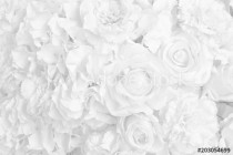 Beautiful decoration artificial rose flower in white tone background. Naklejkomania - zdjecie 1 - miniatura
