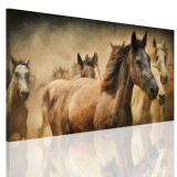 Obraz na ramie płótno canvas- pejzaż, konie, galop 15065 Naklejkomania - zdjecie 1 - miniatura