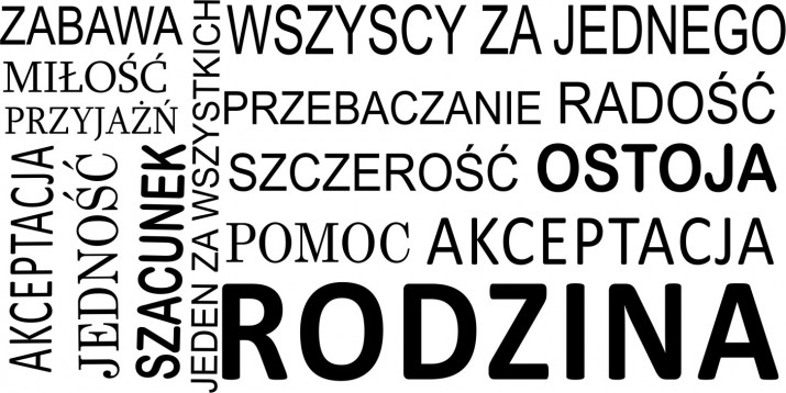 561 Nowoczesna naklejka na ścianę z dekoracyjnym napisem Jeden za wszystkich wszyscy za jednego - zdjęcie 2