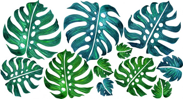Naklejki na ścianę kwiaty liście monstera 9855 - zdjęcie 2