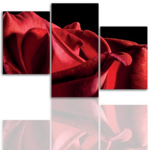 Tryptyk do salonu - Kwiaty, róże, pąk 12102 Naklejkomania - zdjecie 1