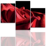 Tryptyk do salonu - Kwiaty, róże, pąk 12102 Naklejkomania - zdjecie 1 - miniatura