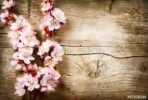 Spring Blossom over wood background Naklejkomania - zdjecie 1 - miniatura