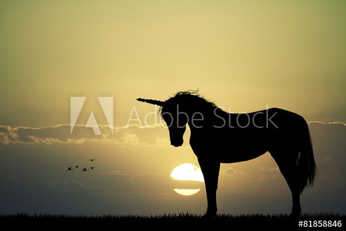 Unicorn silhouette - zdjęcie 1