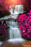 beautiful waterfall in rain forest, Thailand Naklejkomania - zdjecie 1 - miniatura