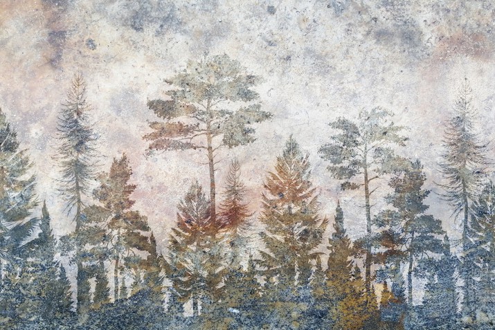 Fototapety ścienne tapeta na ścanę drzewa 41497 - zdjęcie 2
