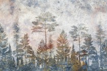 Fototapety ścienne tapeta na ścanę drzewa 41497 Naklejkomania - zdjecie 2 - miniatura