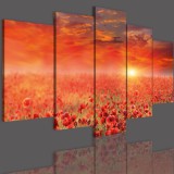 Obrazy 5 częściowe- Kwiaty, maki, polana, zachód słońca 12334 Naklejkomania - zdjecie 3 - miniatura