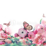 Pink flower of an Oriental cherry and butterfly; Naklejkomania - zdjecie 1 - miniatura