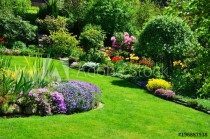beautiful garden with perfect lawn Naklejkomania - zdjecie 1 - miniatura